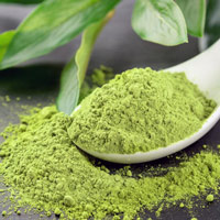 Matcha Green Tea extract